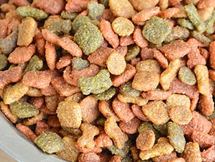Pet Food